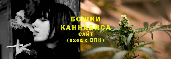 индика Балахна
