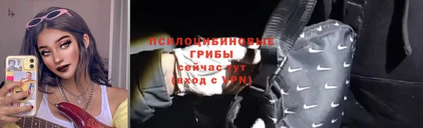 индика Балахна