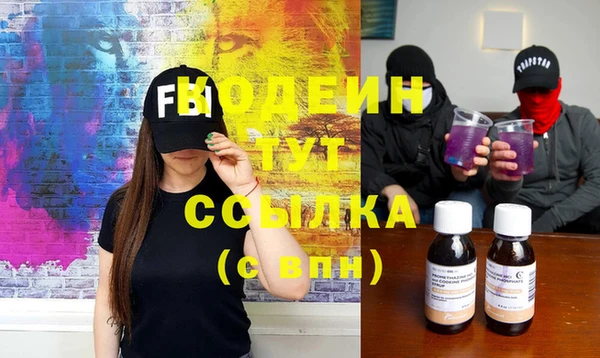 индика Балахна