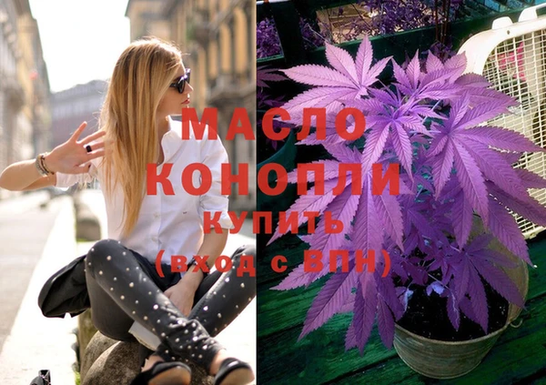 индика Балахна
