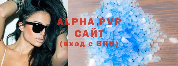 индика Балахна