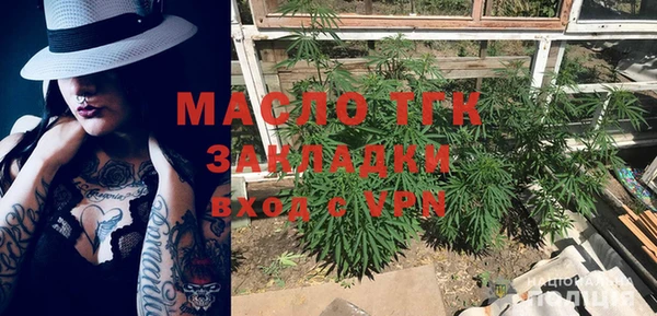 индика Балахна