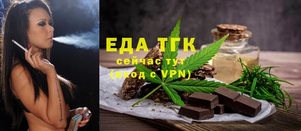 индика Балахна