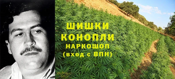 индика Балахна