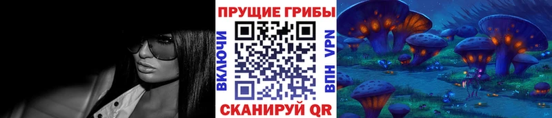 Псилоцибиновые грибы Magic Shrooms  omg сайт  Заозёрск  как найти закладки 